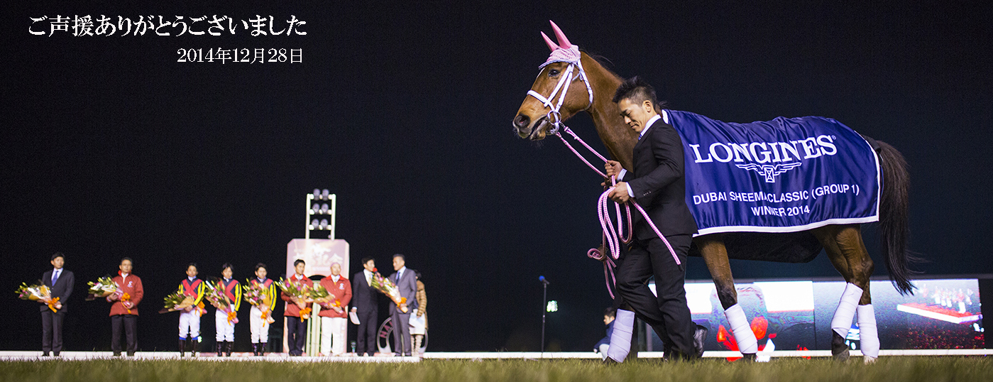 ジェンティルドンナが有馬記念で有終の美を飾る!