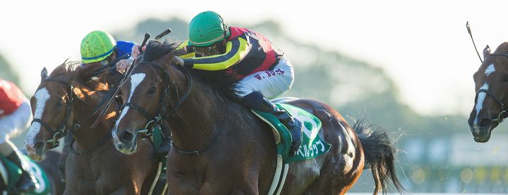 ベルラップが京都2歳Sを制覇!