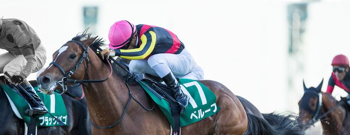 ベルーフが京成杯を制覇!