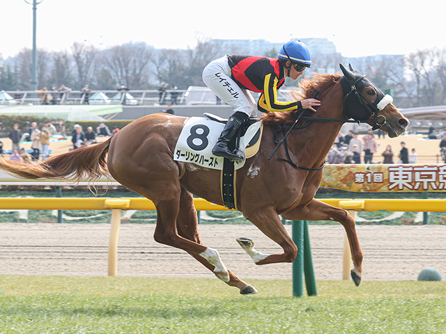 ダーリングハースト