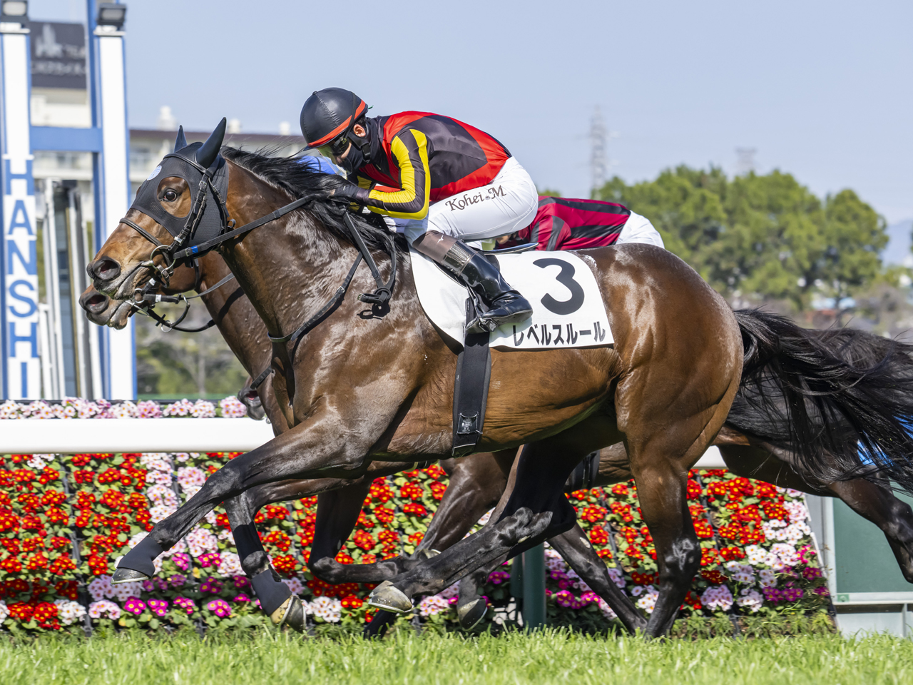 レベルスルール