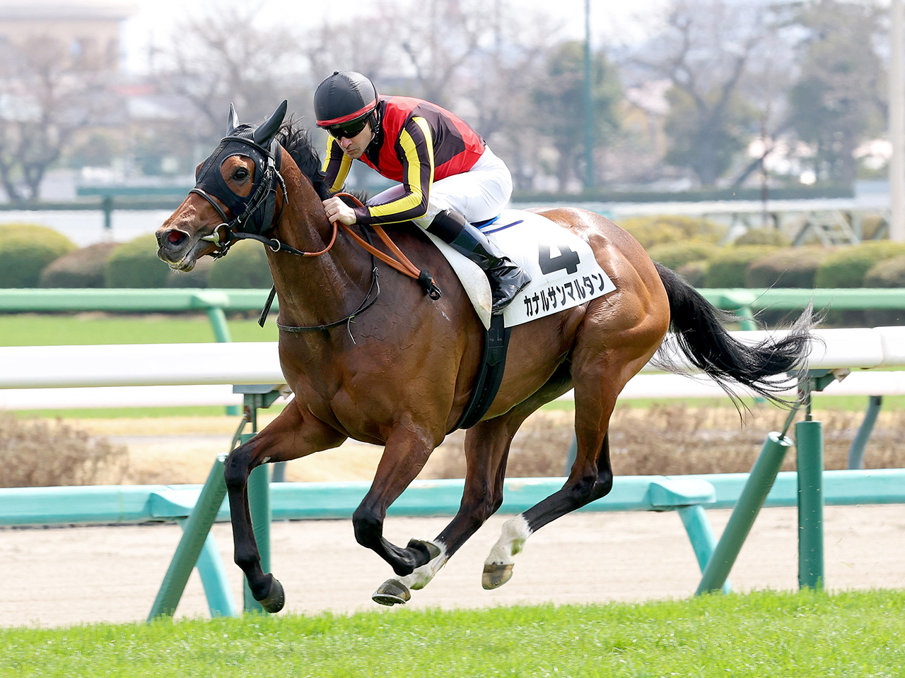 カナルサンマルタン