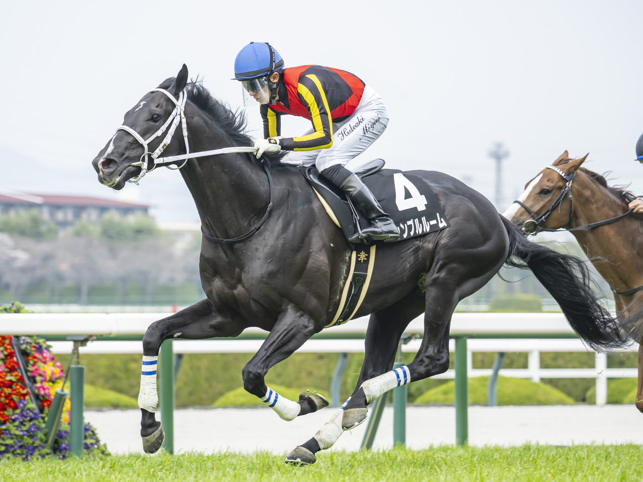 ギャンブルルーム