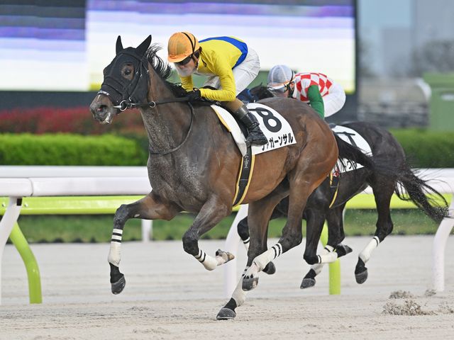 ツァガーンサル