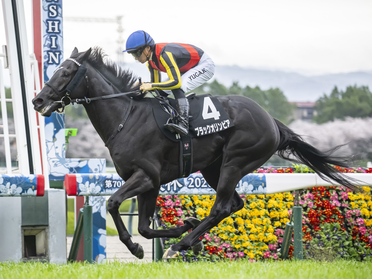 ブラックオリンピア