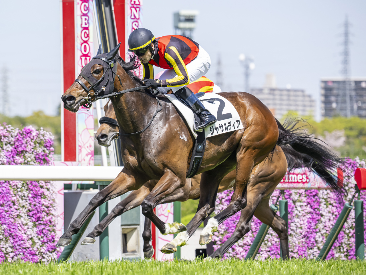 ジャサルディア