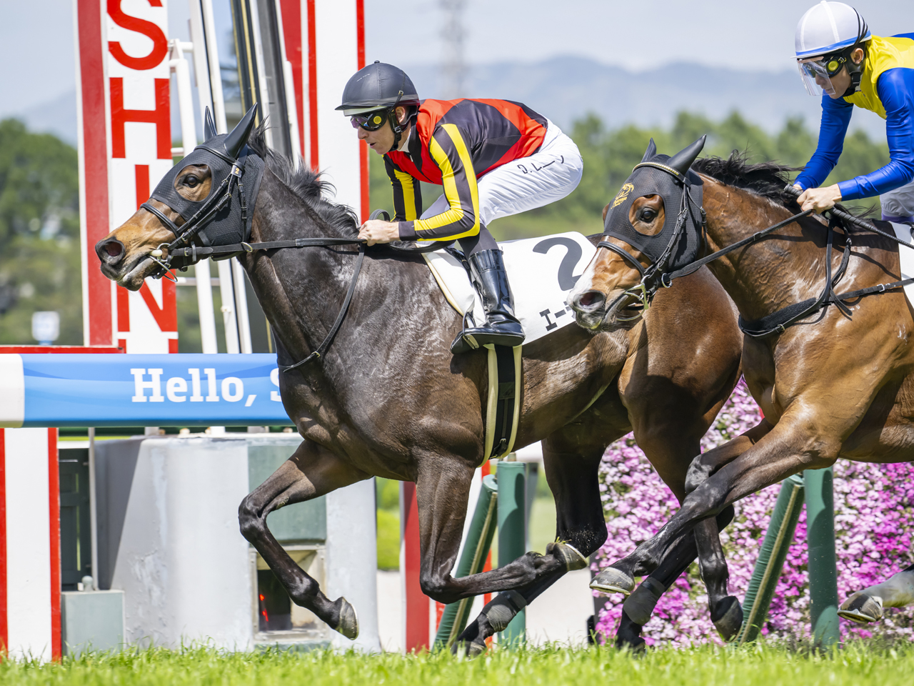 エーデルヴェーグ