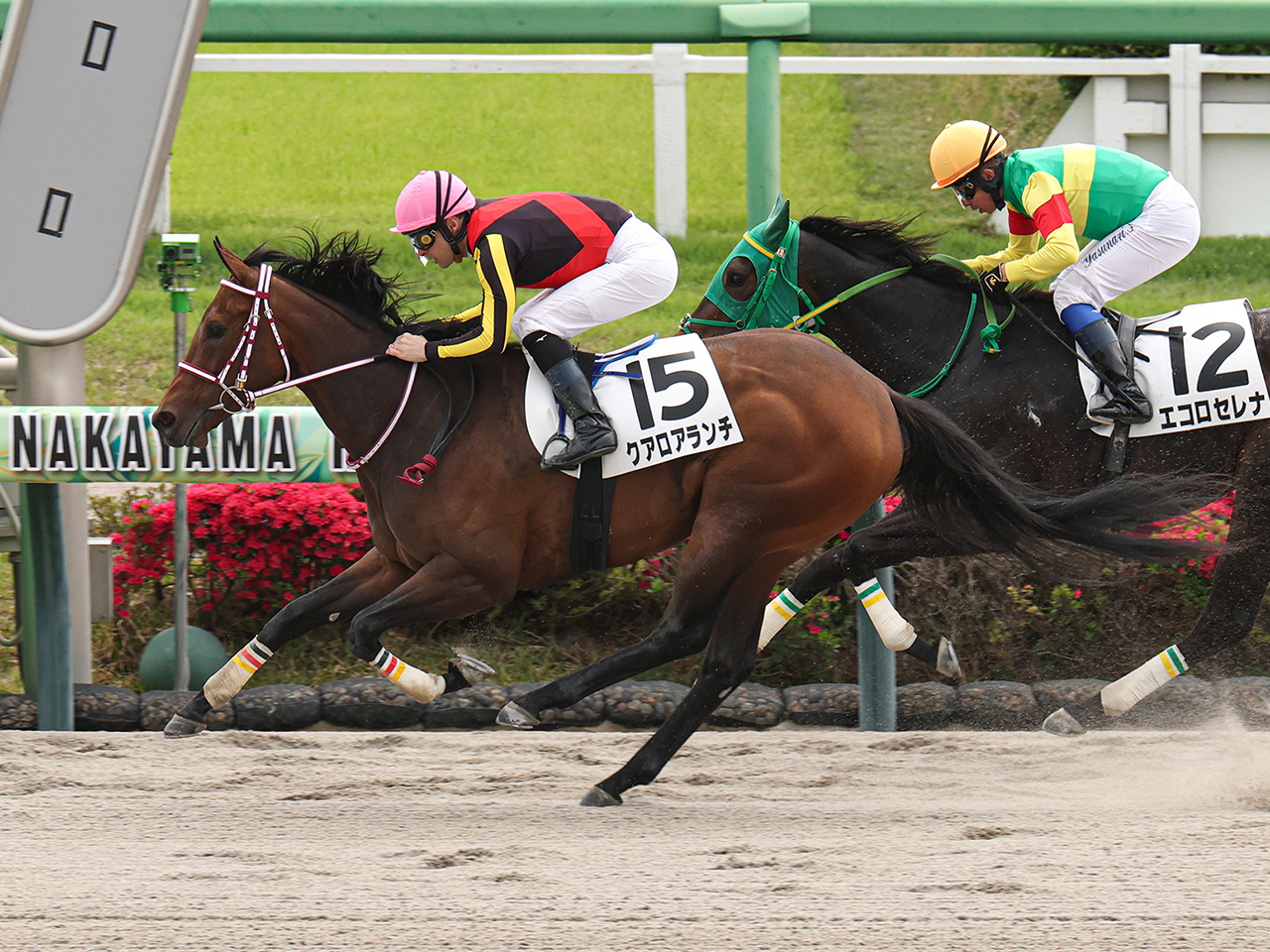 クアロアランチ