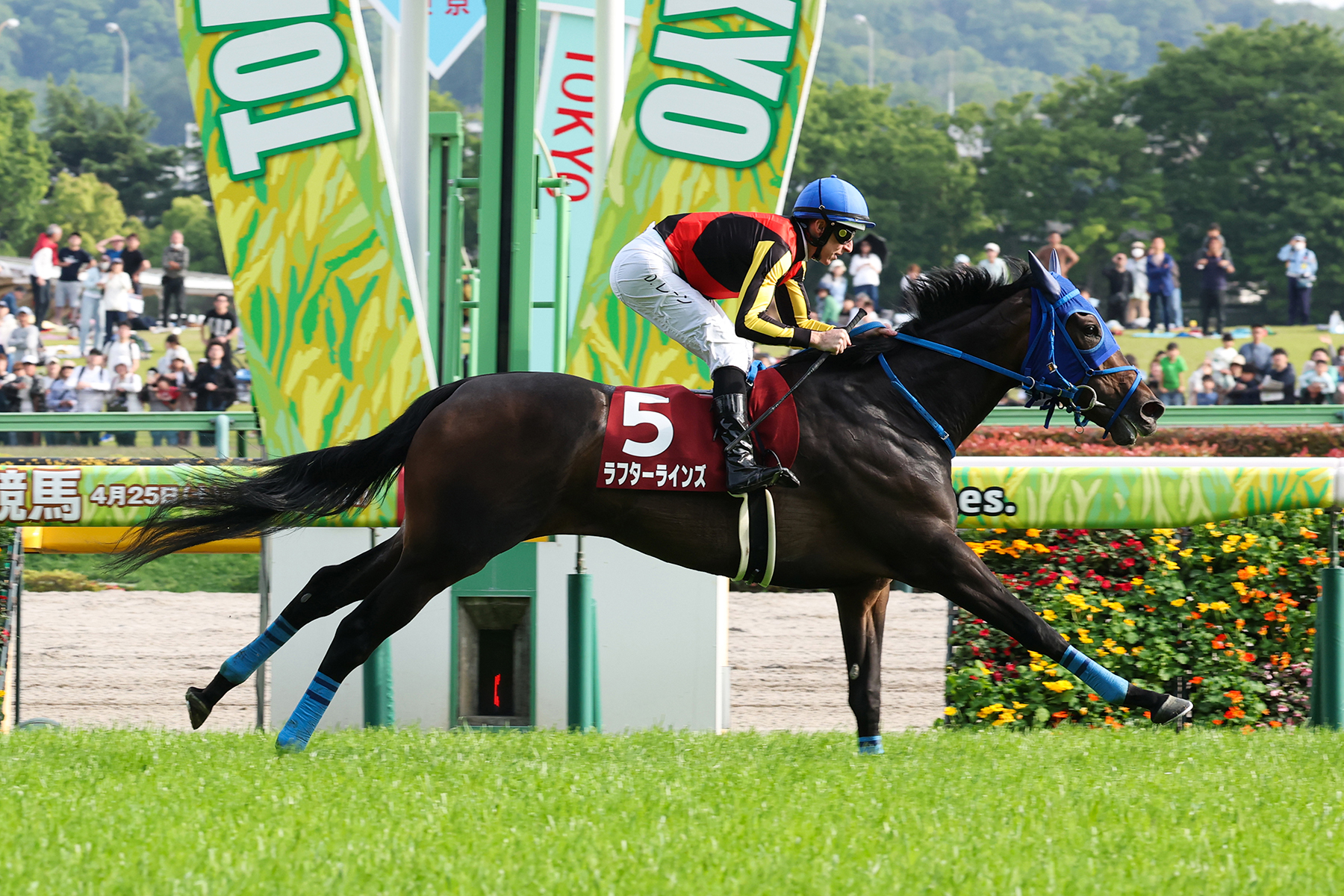 ラフターラインズ