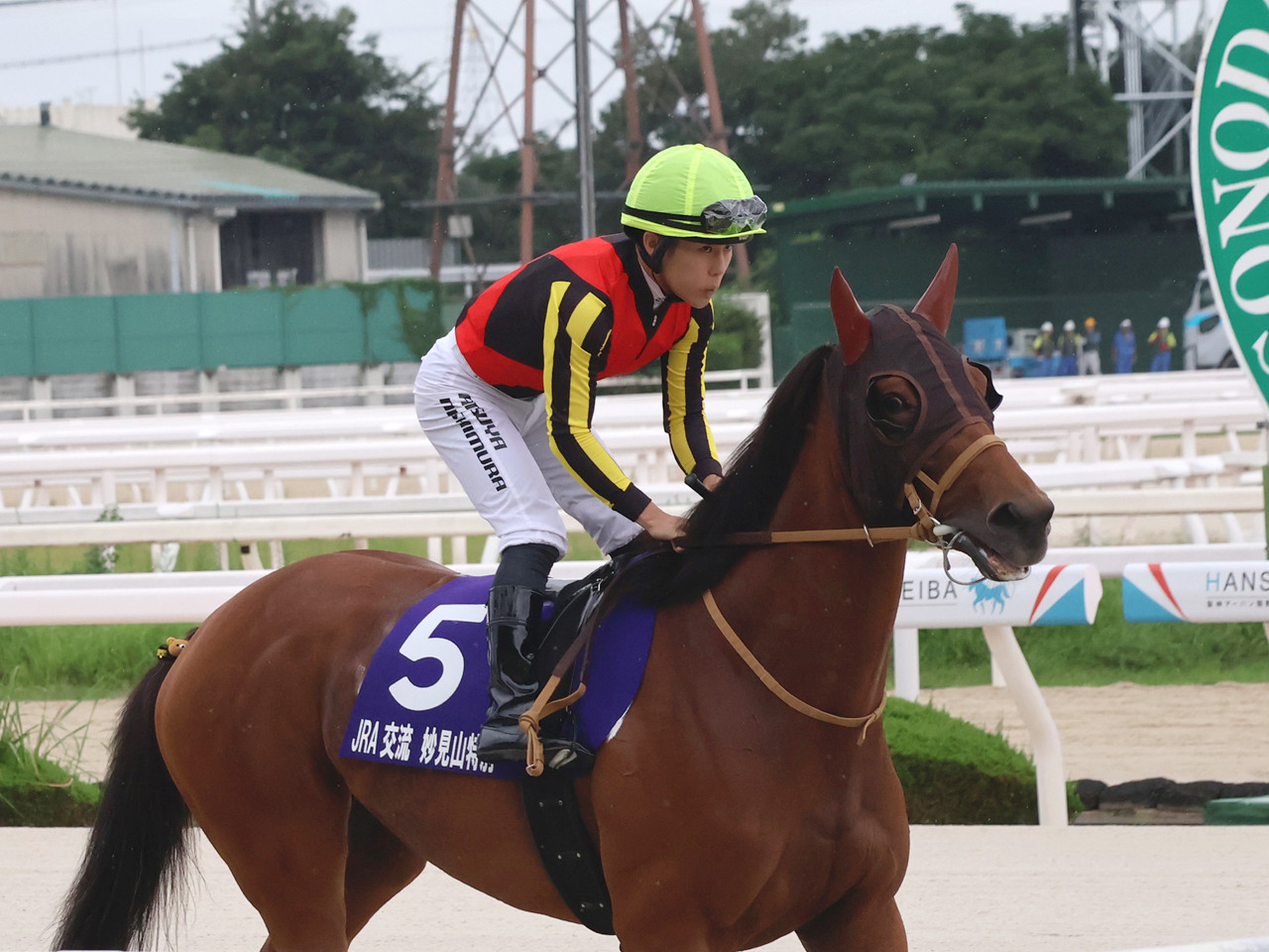 フィデリス