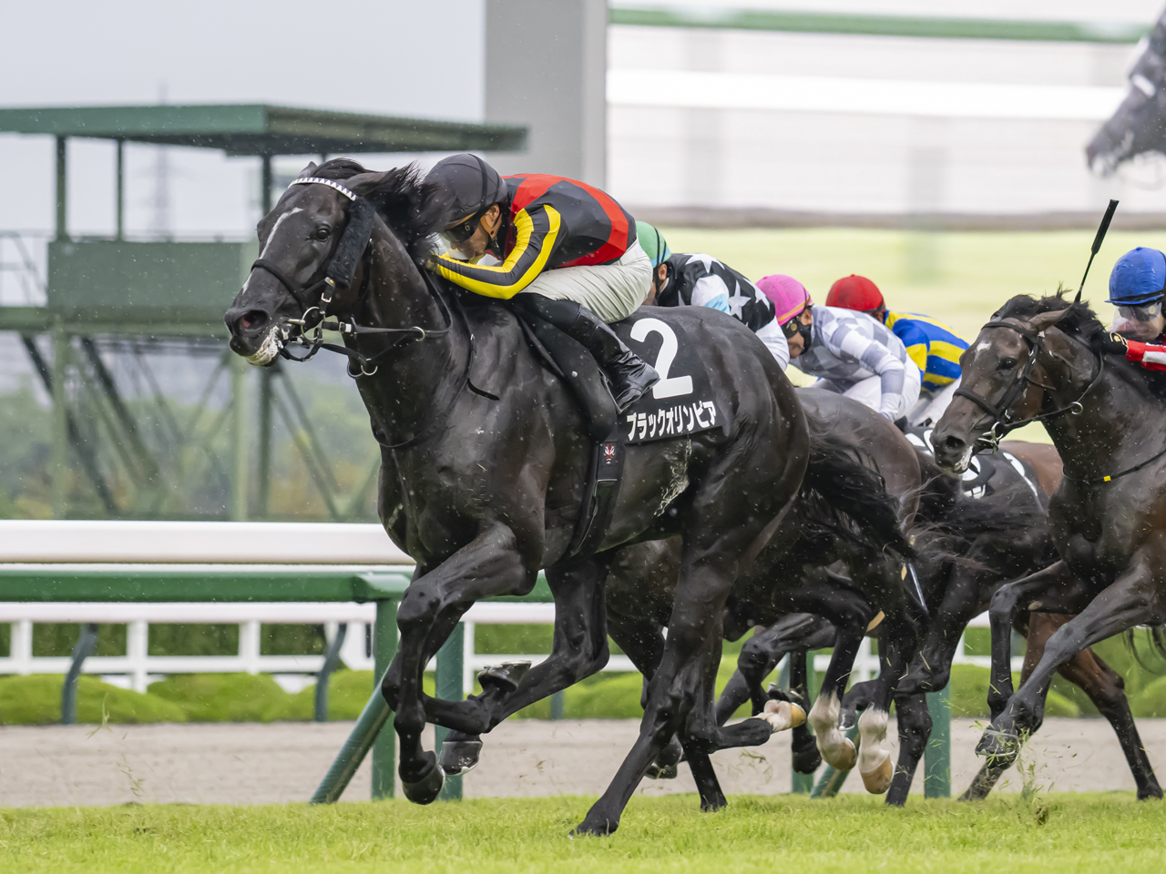 ブラックオリンピア