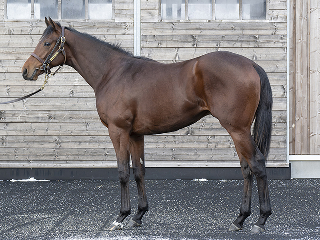 サンデーサラブレッドクラブ