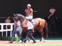 Sunday Thoroughbred Club サンデーサラブレッドクラブ