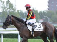 Sunday Thoroughbred Club サンデーサラブレッドクラブ