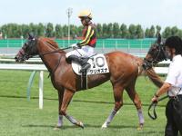Sunday Thoroughbred Club サンデーサラブレッドクラブ