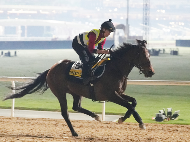 Sunday Thoroughbred Club サンデーサラブレッドクラブ
