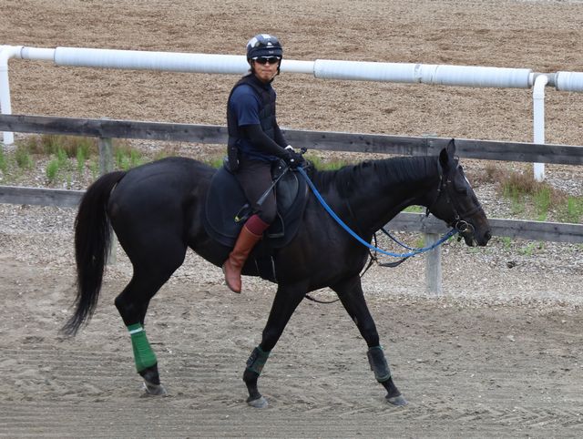 Sunday Thoroughbred Club サンデーサラブレッドクラブ