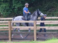 Sunday Thoroughbred Club サンデーサラブレッドクラブ