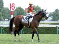 Sunday Thoroughbred Club サンデーサラブレッドクラブ