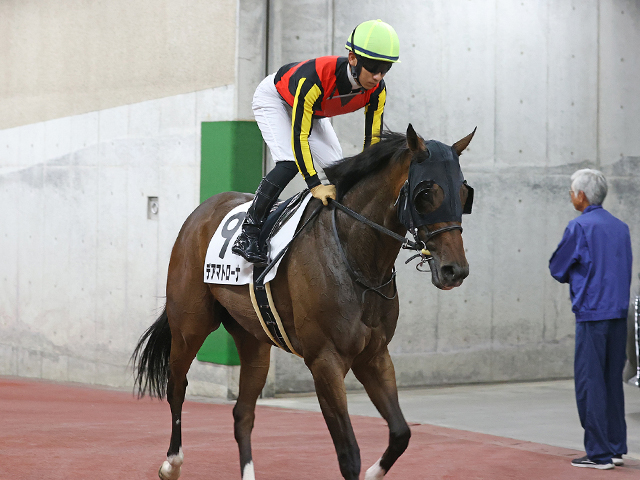 Sunday Thoroughbred Club サンデーサラブレッドクラブ