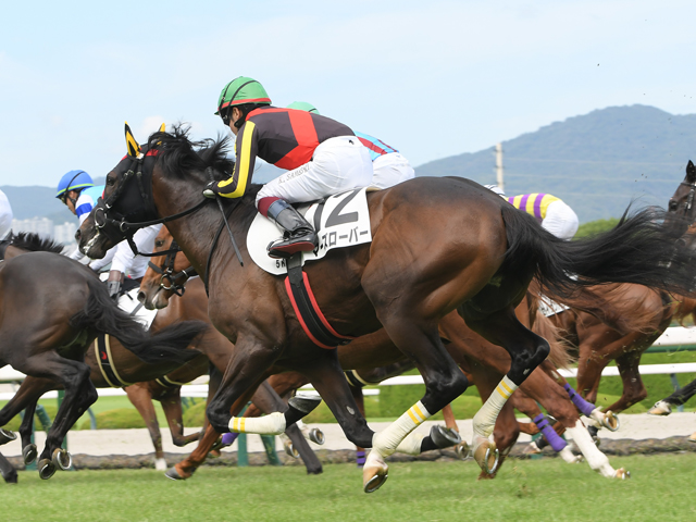 Sunday Thoroughbred Club サンデーサラブレッドクラブ