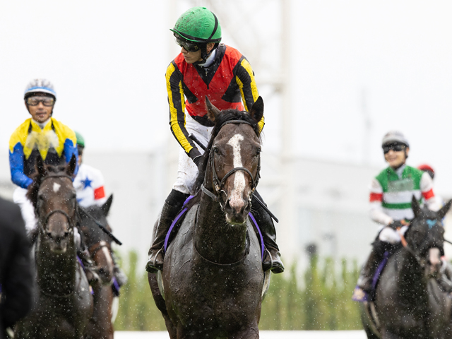 Sunday Thoroughbred Club サンデーサラブレッドクラブ