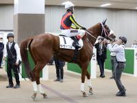 Sunday Thoroughbred Club サンデーサラブレッドクラブ