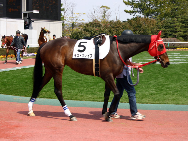 Sunday Thoroughbred Club サンデーサラブレッドクラブ