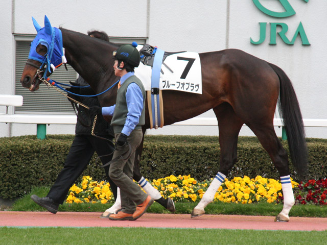 Sunday Thoroughbred Club サンデーサラブレッドクラブ