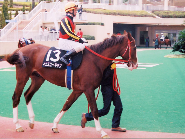 ゆぅきゃん様 スリクソン ZX ユーティリティ | アイアン | 製品情報 | DUNLOP