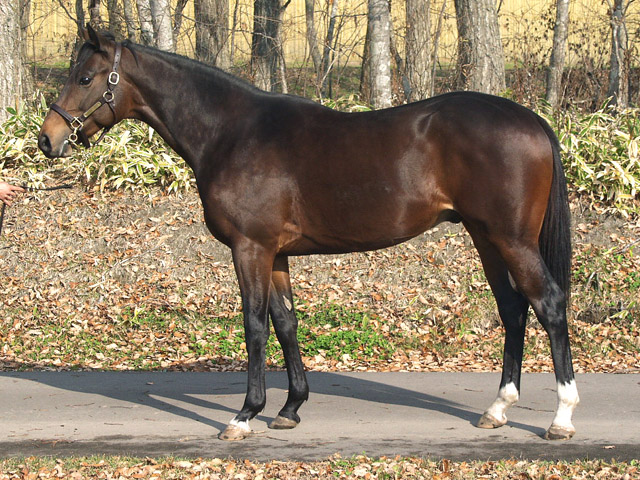 Sunday Thoroughbred Club サンデーサラブレッドクラブ