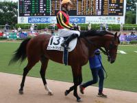 Sunday Thoroughbred Club サンデーサラブレッドクラブ