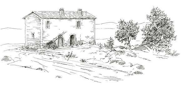 名実伴うブランドノーザンファームの馬