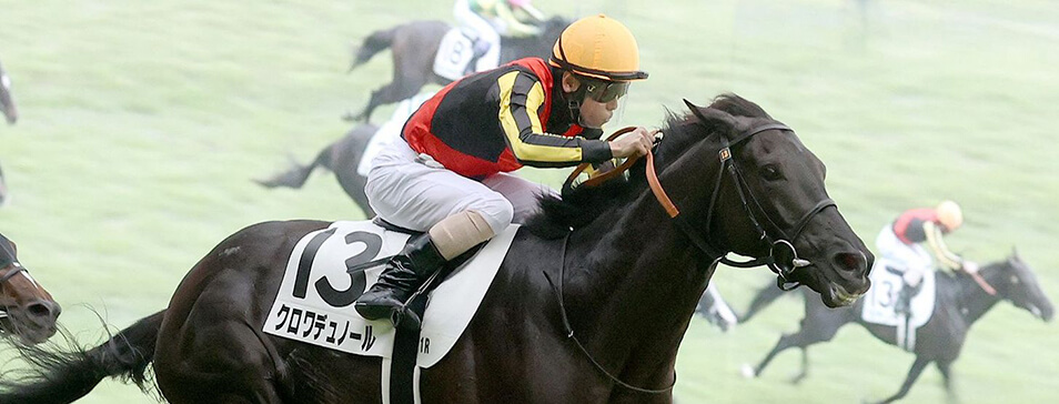 一頭40口の少人数制が生む大きな賞金分配