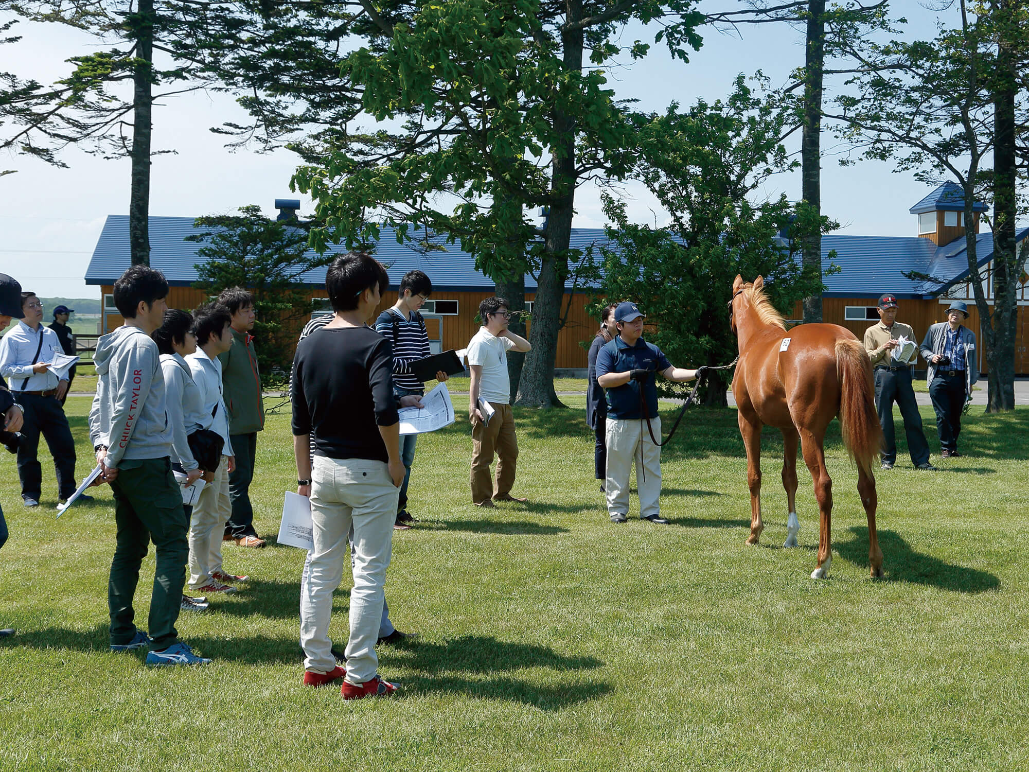 牧場見学ツアー