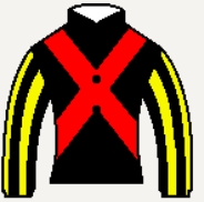 [2000年]社名を「有限会社サンデーサラブレッドクラブ」に変更