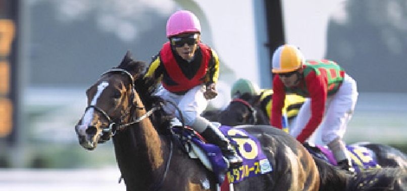 [2004]デルタブルースが菊花賞制覇(G1)を制覇し、JRA賞最優秀内国産馬に選出