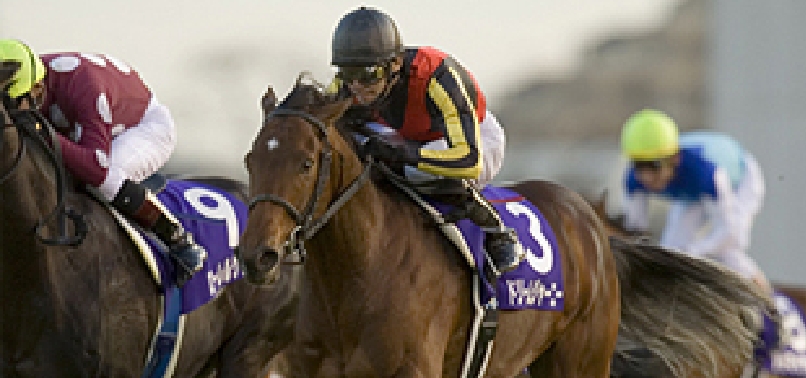 [2006]ドリームジャーニーが朝日杯フューチュリティステークス(G1)を制覇し、 JRA賞最優秀2歳牡馬に選出