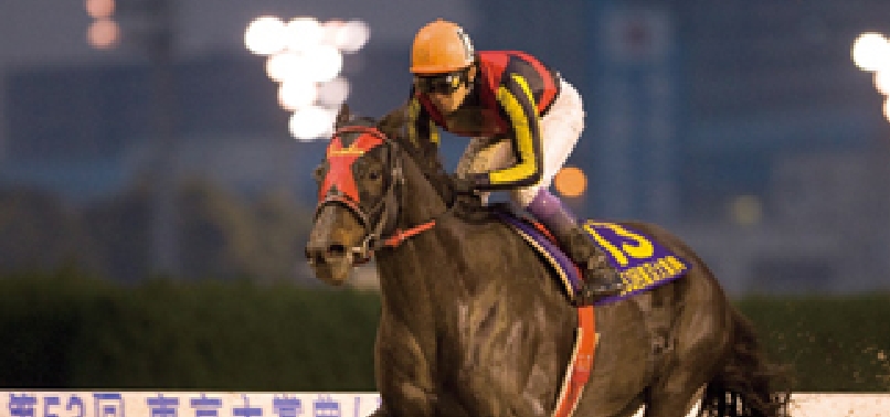 "[2007]ヴァーミリアンが川崎記念(Jpn1)、JCBクラシック(Jpn1)、ジャパンカップダート(G1)、東京大賞典(Jpn1)を制覇し、JRA賞最優秀ダートホースに選出 JRAリーディングオーナーを獲得"