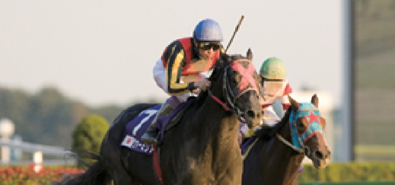 [2008]ヴァーミリアンがフェブラリーS(G1)、JCBクラシック(Jpn1)を制覇