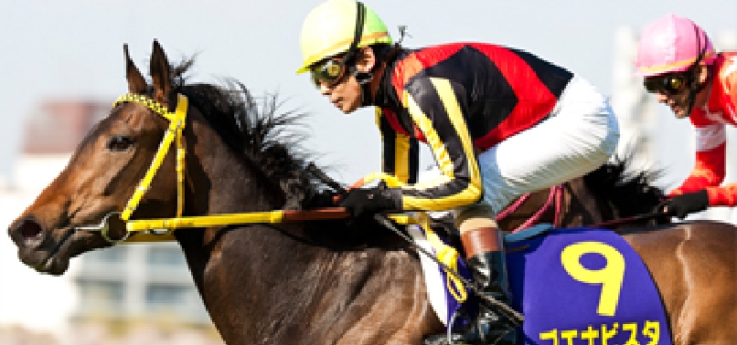 [2009]ブエナビスタが桜花賞(G1)、優駿牝馬(G1)を制覇し、JRA賞最優秀3歳牝馬に選出