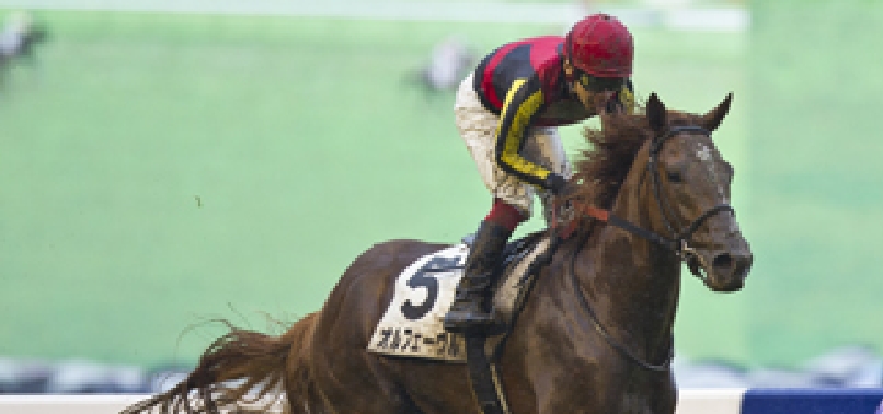 [2011]オルフェーヴルがクラシック三冠を達成、有馬記念（G1）を制覇し、JRA賞年度代表馬、JRA貸最優秀3歳社馬に選出