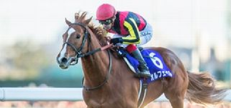 [2013]オルフェーヴルが有馬記念（G1）を制覇し、JRA賞最優秀4歳以上牡馬に選出