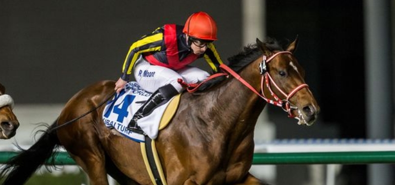 [2016]リアルスティールがUAEで行われたドバイターフ（G1）を制覇