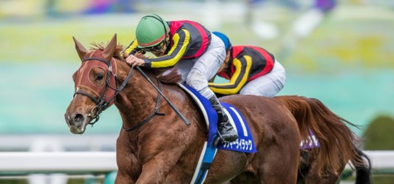 [2017]ラッキーライラック