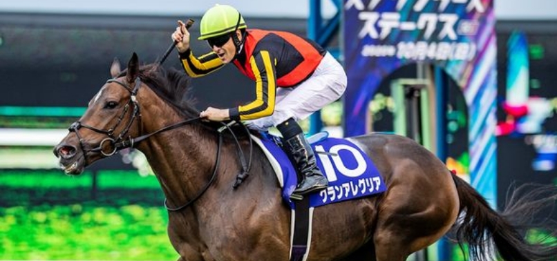 [2020]グランアレグリア