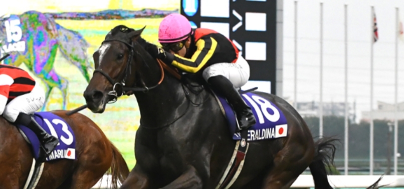 [2022]ジェラルディーナがエリザベス女王杯(G1)を制覇し、JRA賞最優秀4歳以上馬に選出