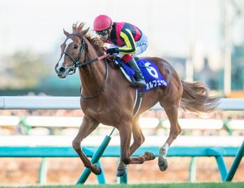 オルフェーヴル