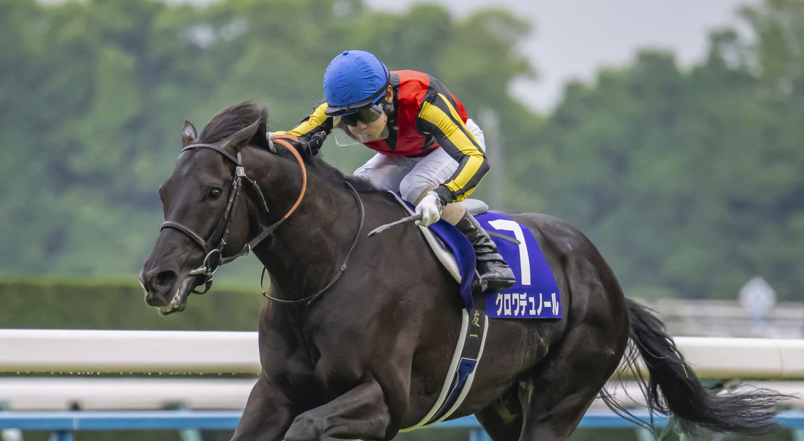 クロワデュノールが天皇賞(春)(G1)を制覇