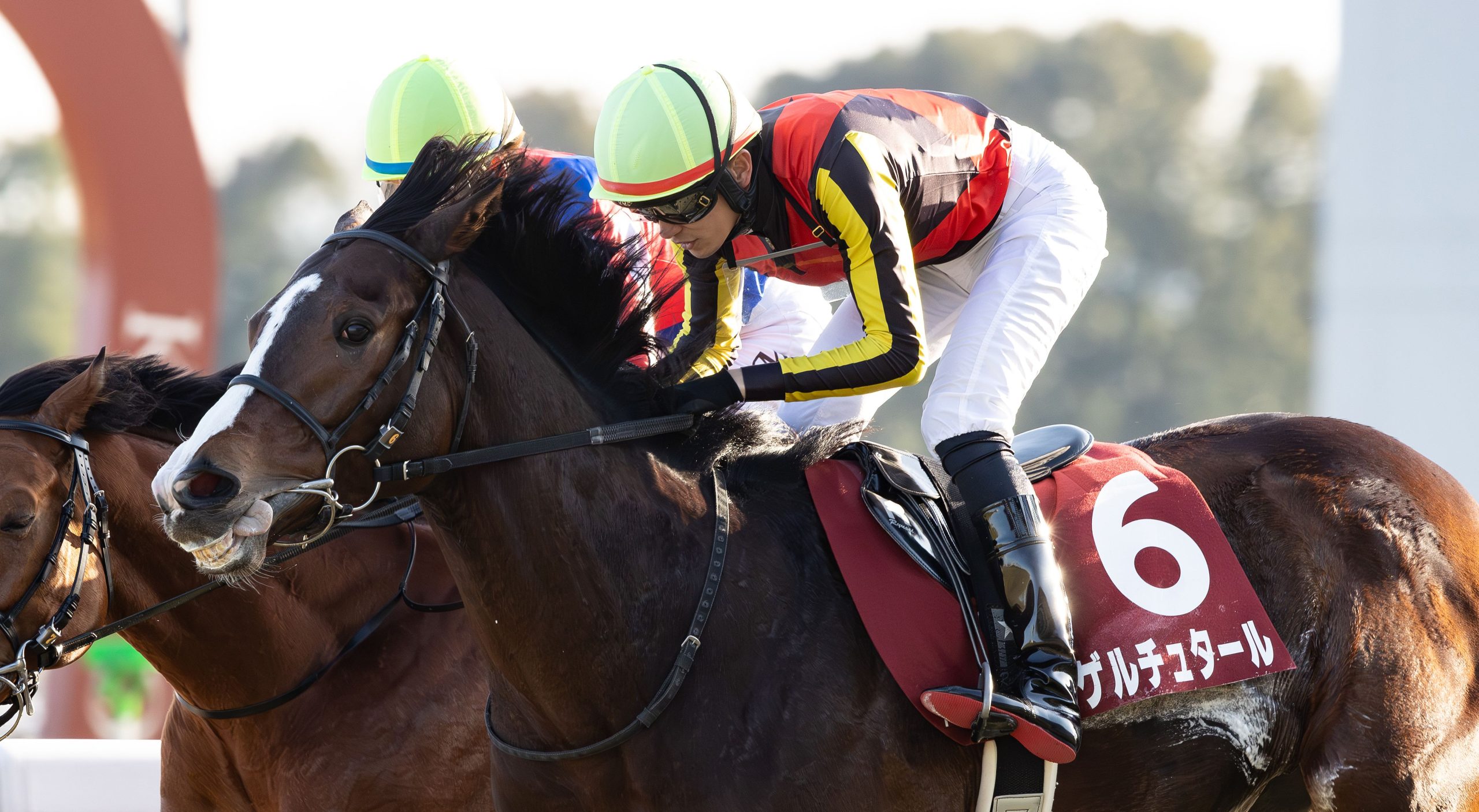 ゲルチュタールが日経新春杯(G2)を制覇